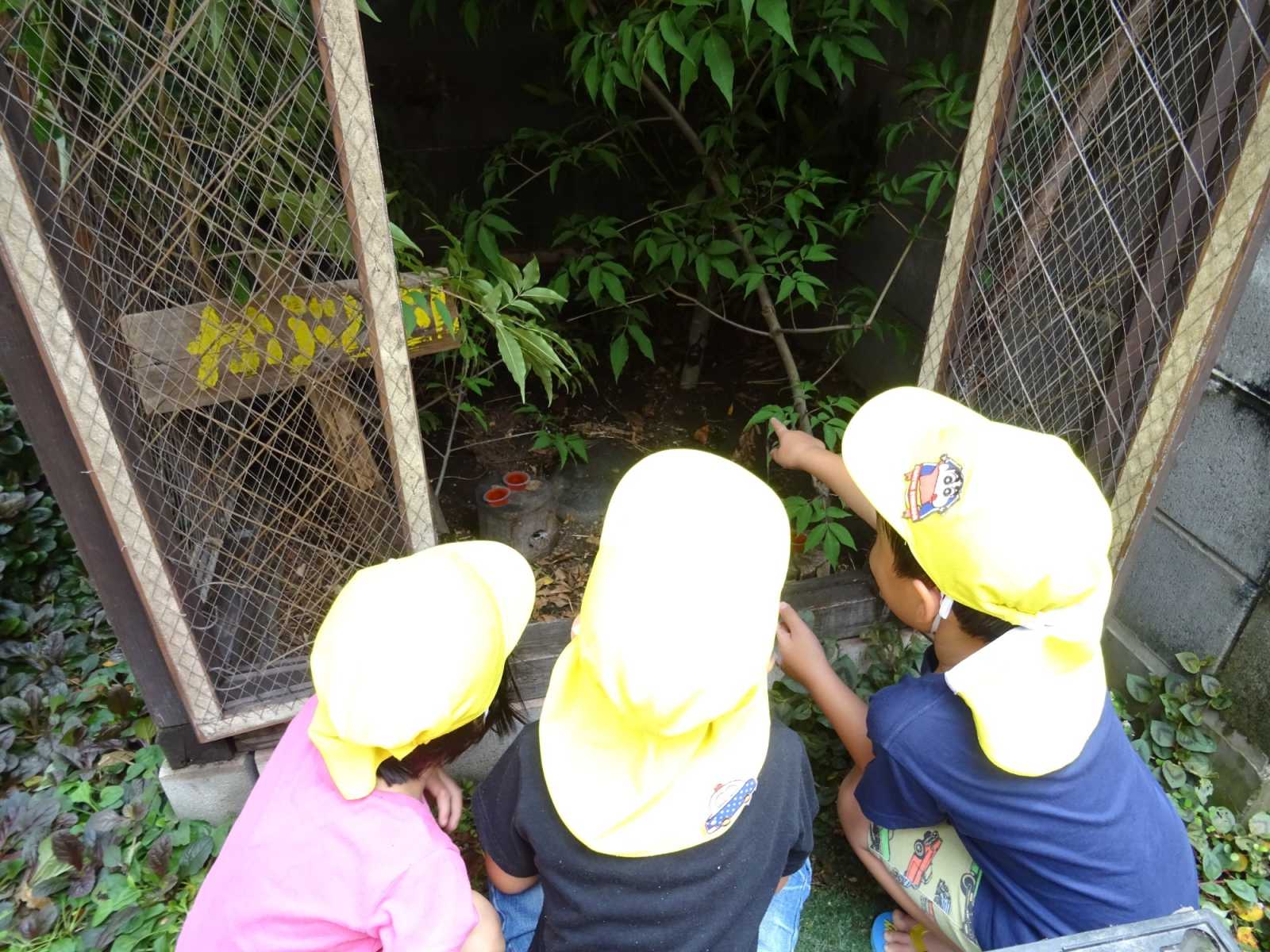 たんぽぽ保育園の画像