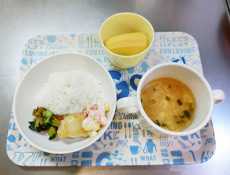 川崎みどり保育園の画像