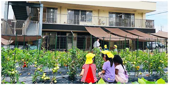 さいとみんなの家の画像