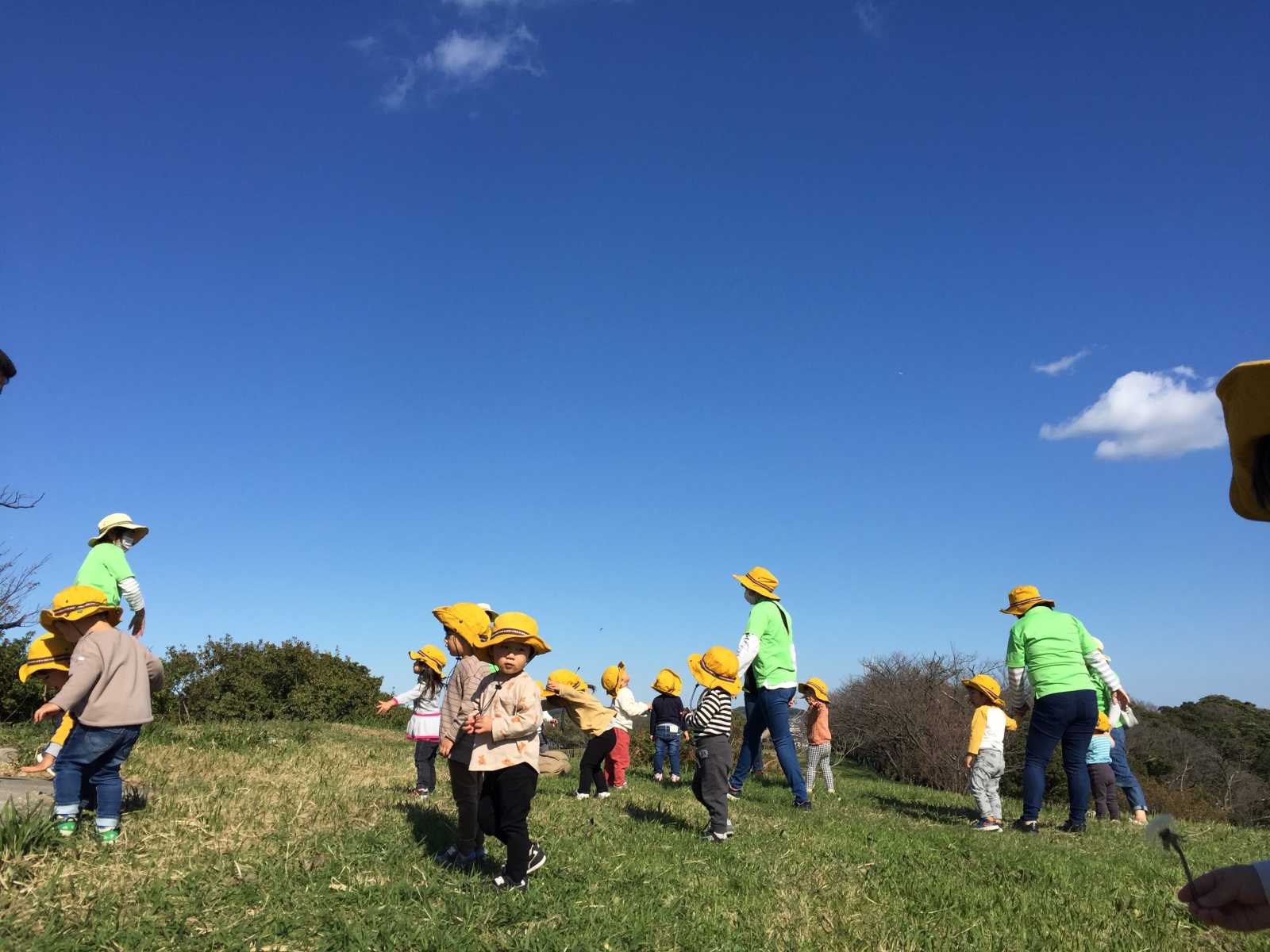 大津保育園の画像