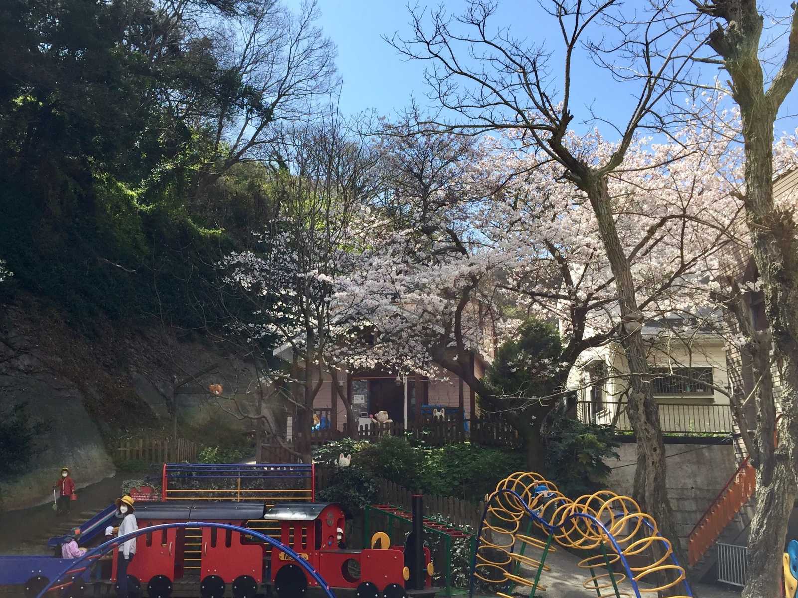 大津保育園の画像