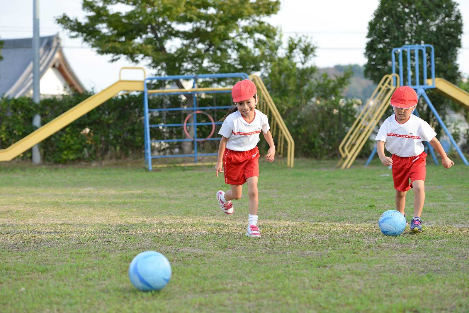 勢野保育園(せやほいくえん) 社会福祉法人 仁福祉会の画像