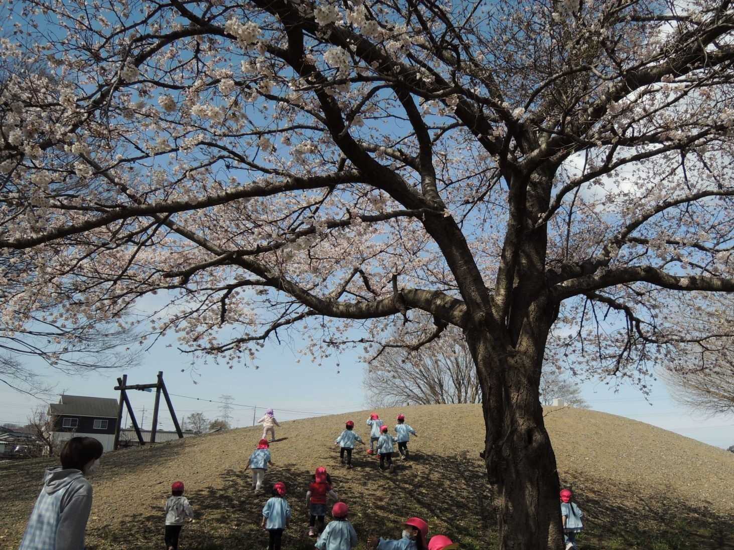 安静こども園の画像