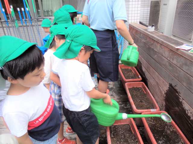 蓮美幼児学園とよすナーサリーの画像