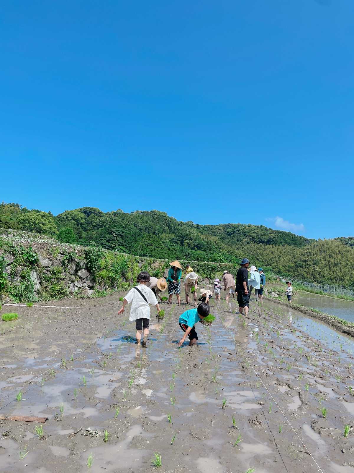 まんまるくらし園の画像