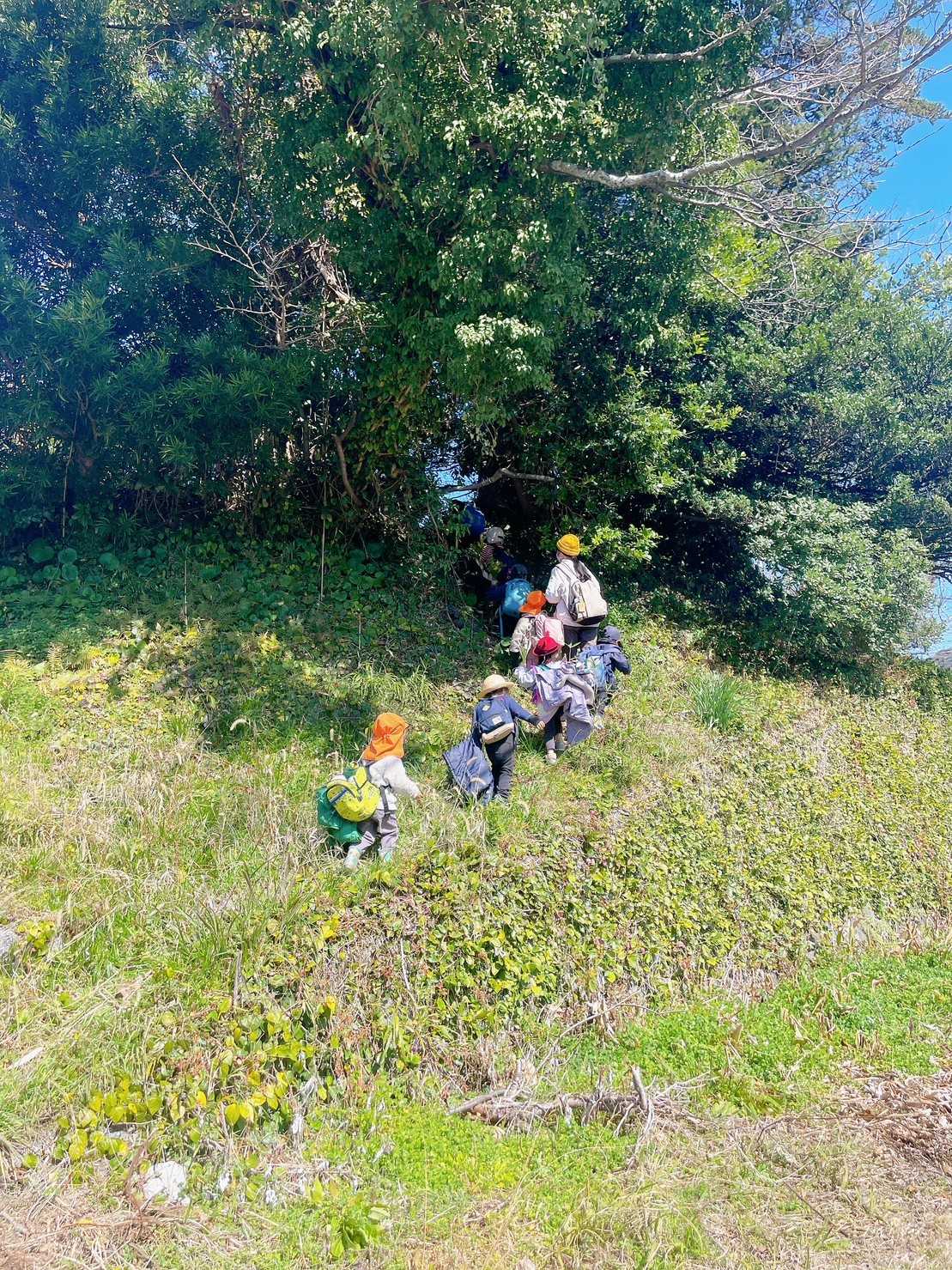 まんまるくらし園の画像