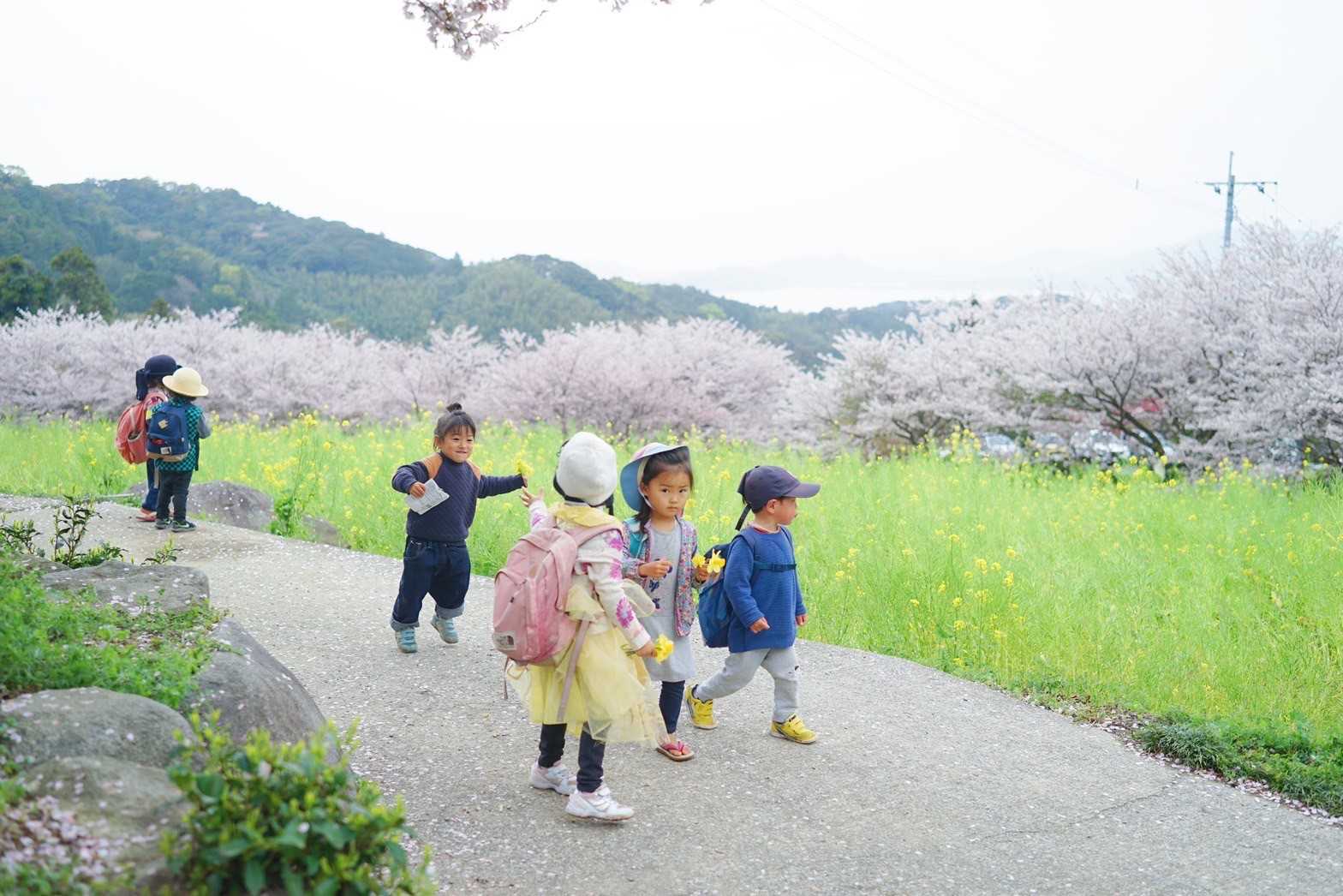 まんまるくらし園の画像