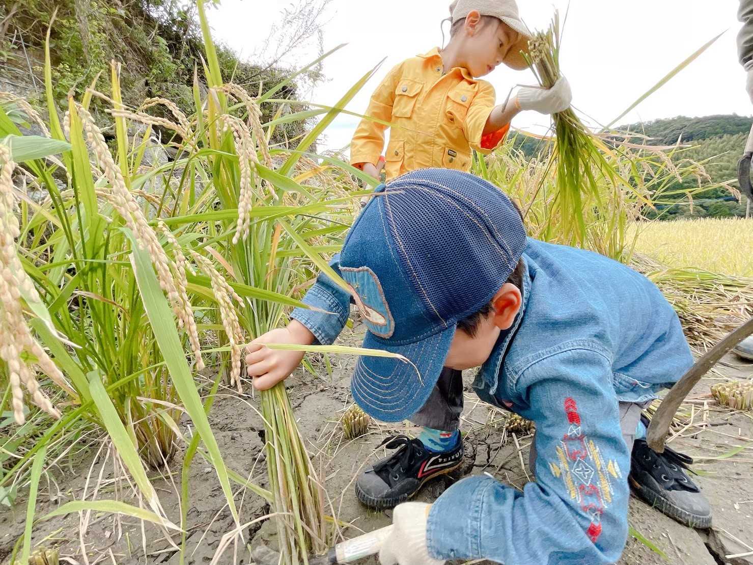まんまるくらし園の画像