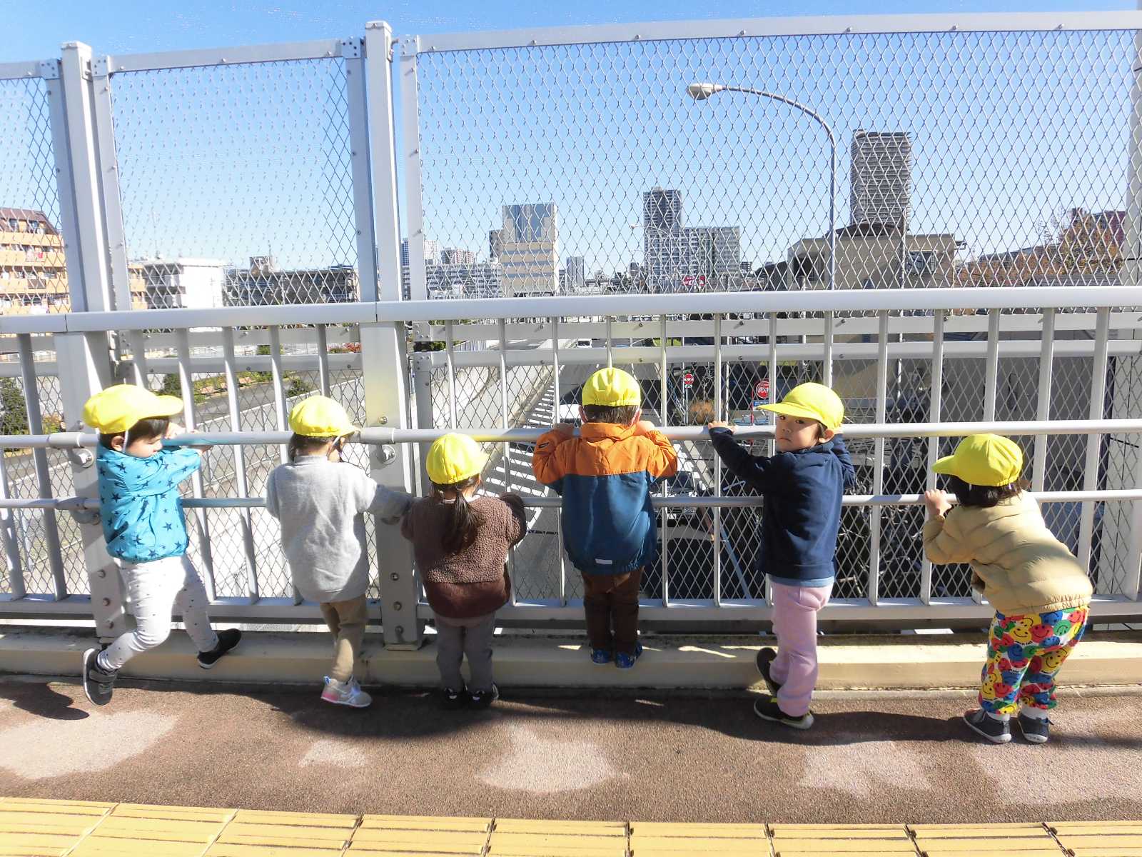 ルピナス保育園の画像