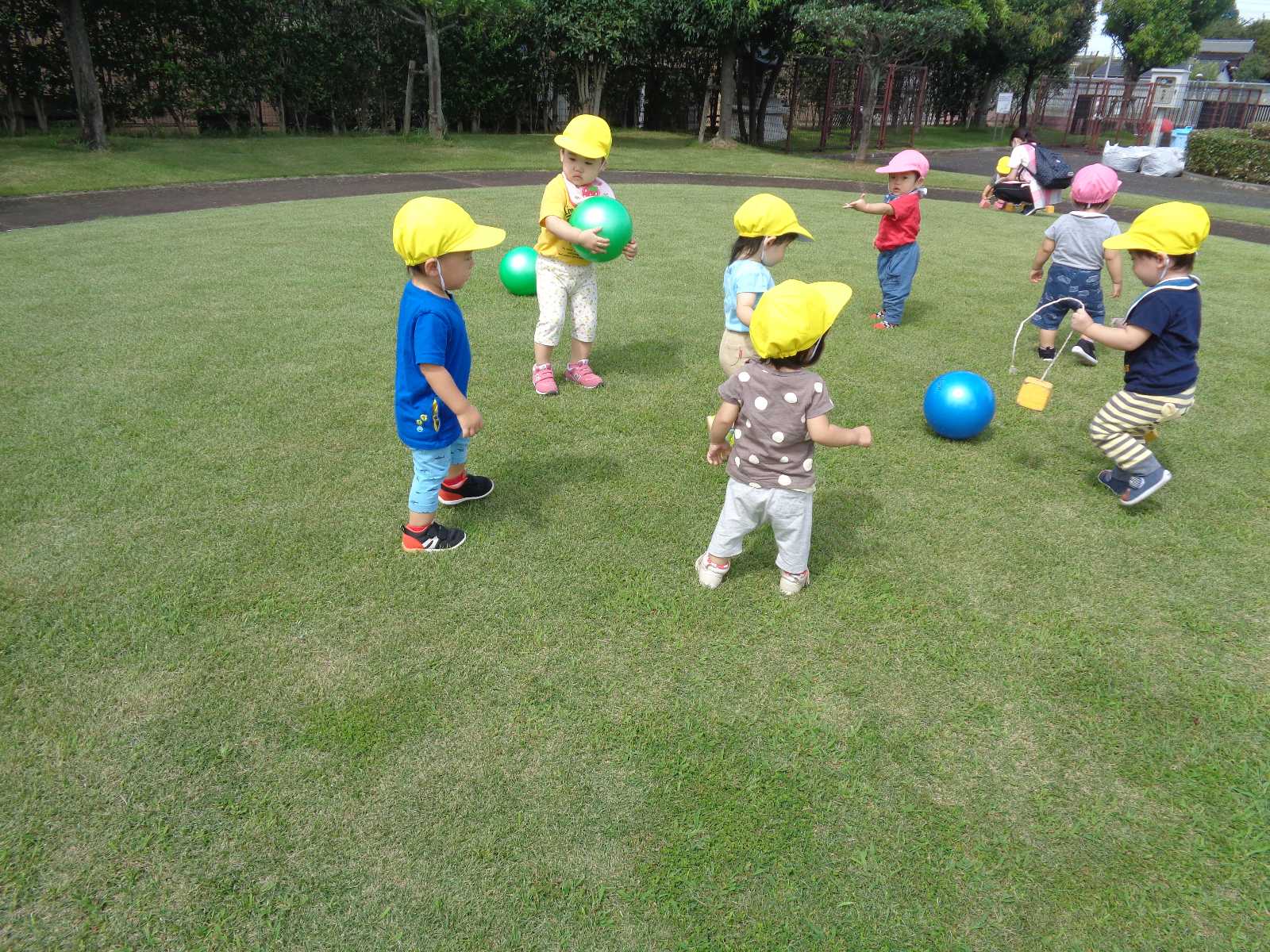 ルピナス保育園の画像