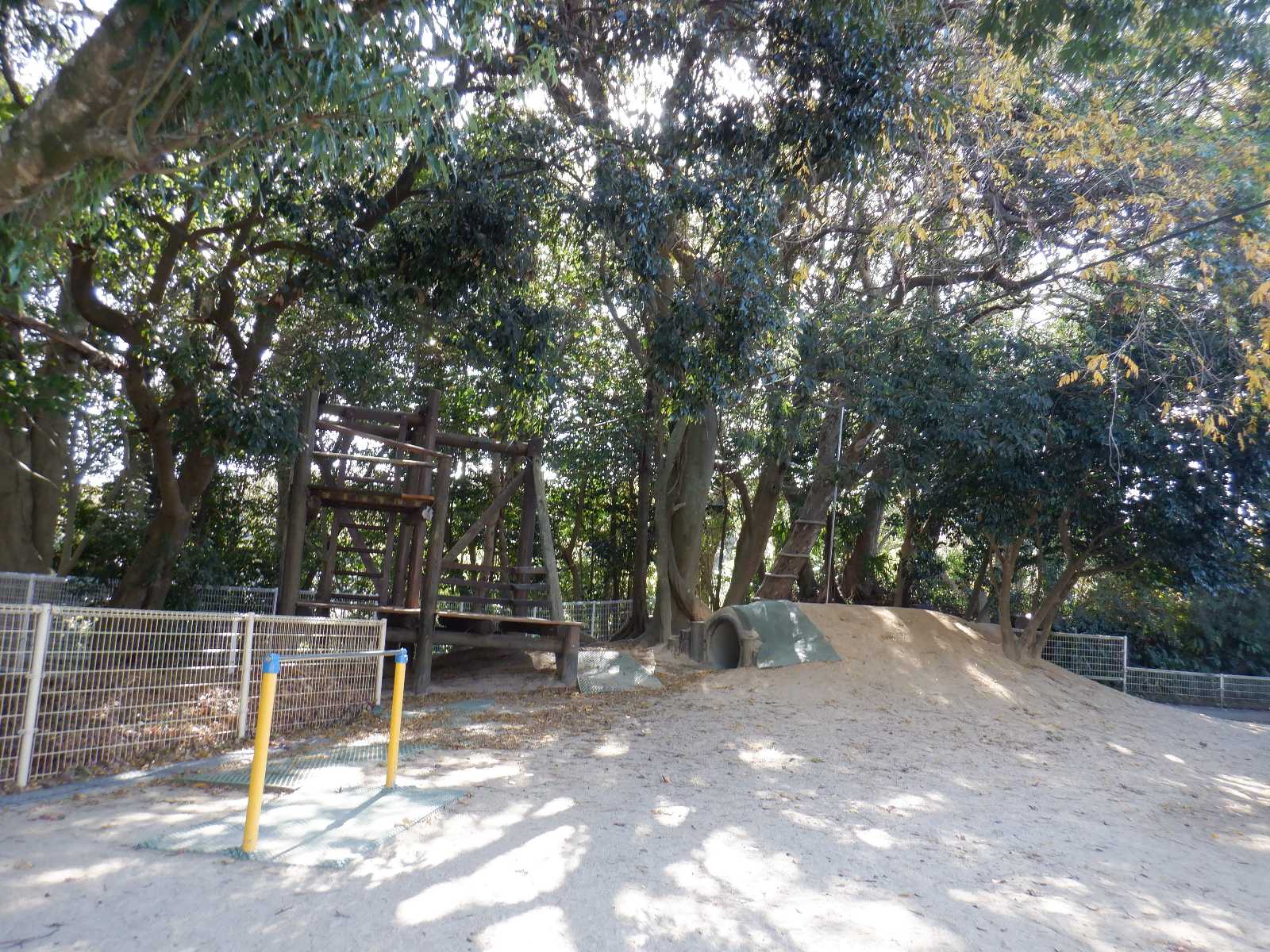 姫井保育園の画像