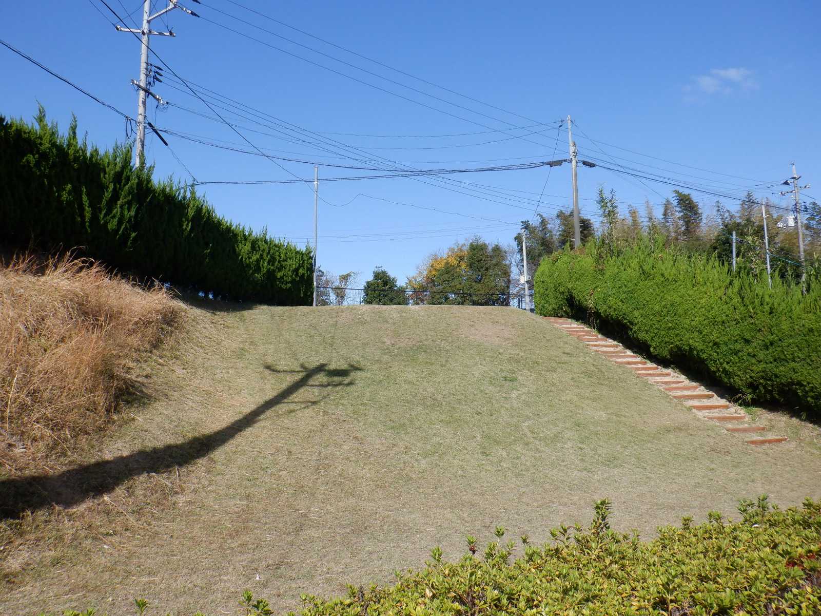 姫井保育園の画像