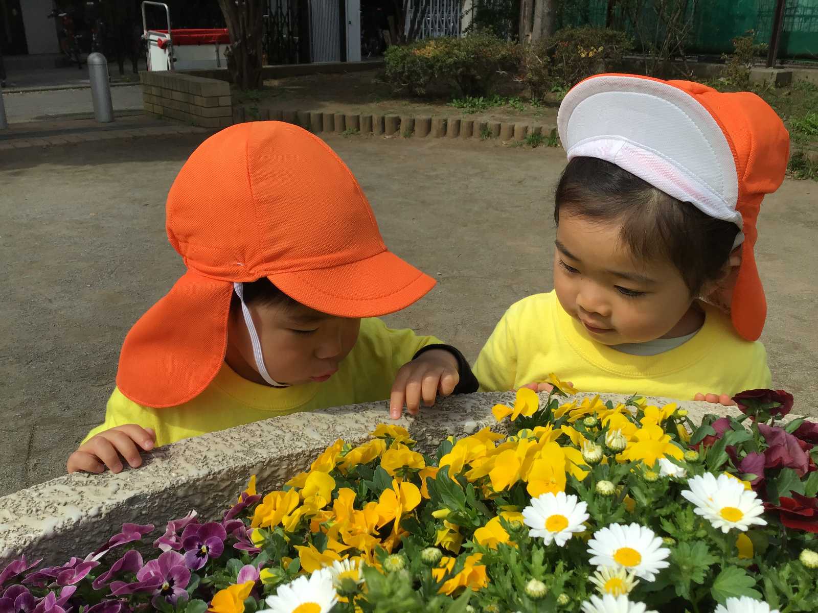 まほうの保育園 東雪谷の画像