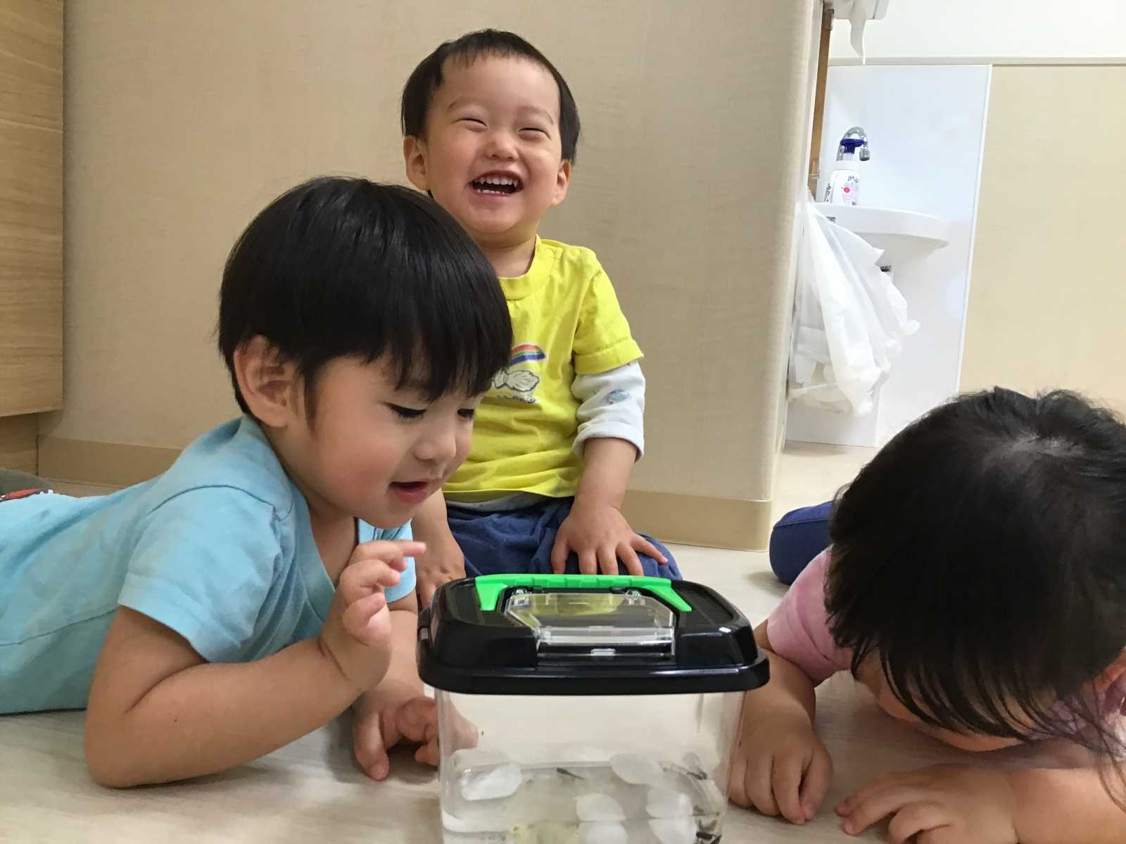 まほうの保育園 東雪谷の画像