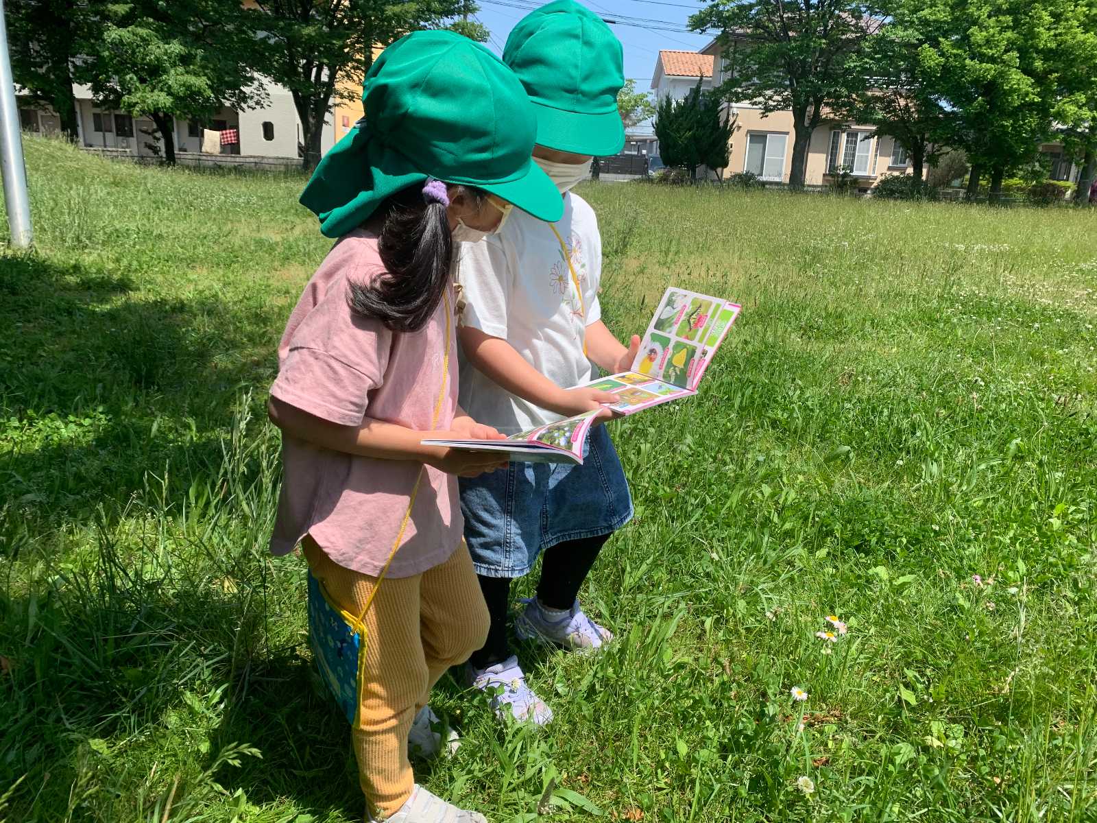 認定こども園サン・パティオこども園の画像
