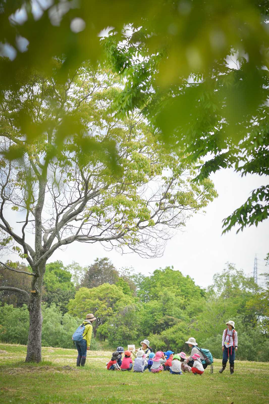 NPO法人ころあい自然楽校の画像