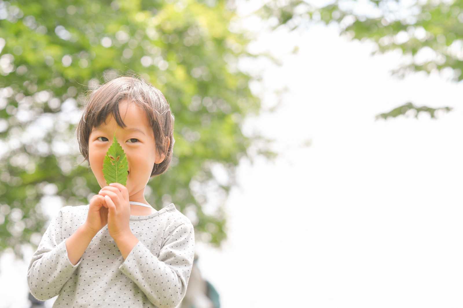 NPO法人ころあい自然楽校の画像