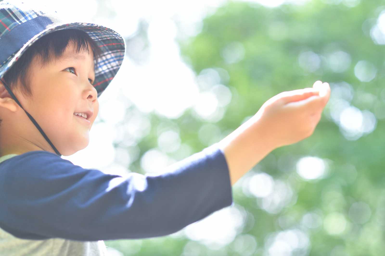 NPO法人ころあい自然楽校の画像