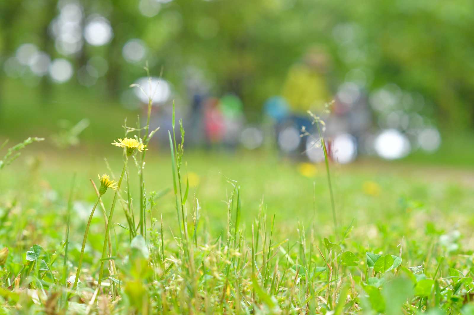 NPO法人ころあい自然楽校の画像
