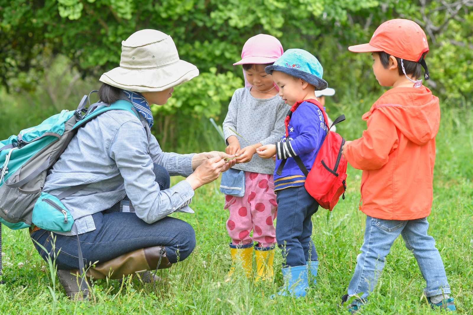 NPO法人ころあい自然楽校の画像