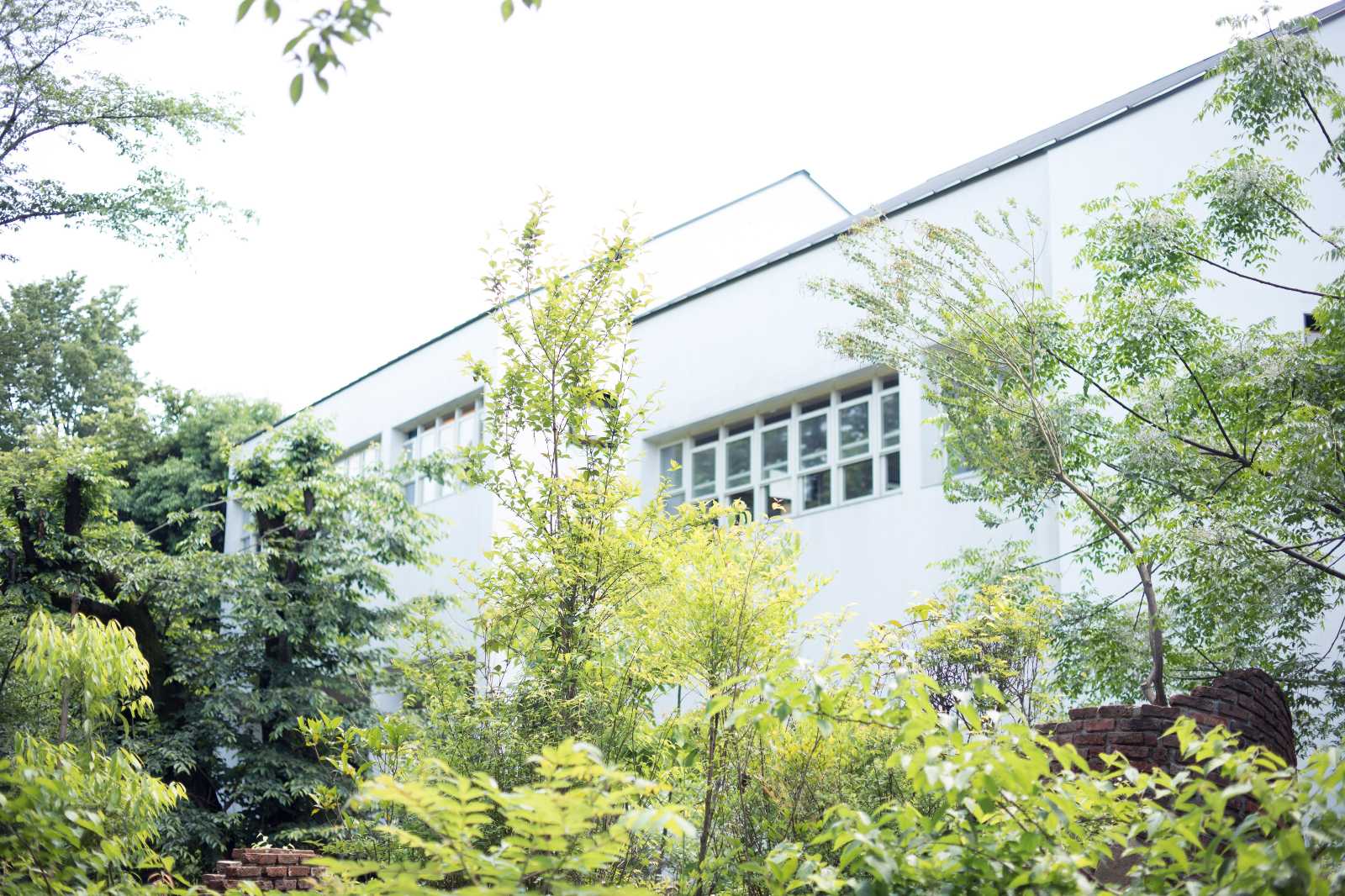 しぜんの国保育園の画像