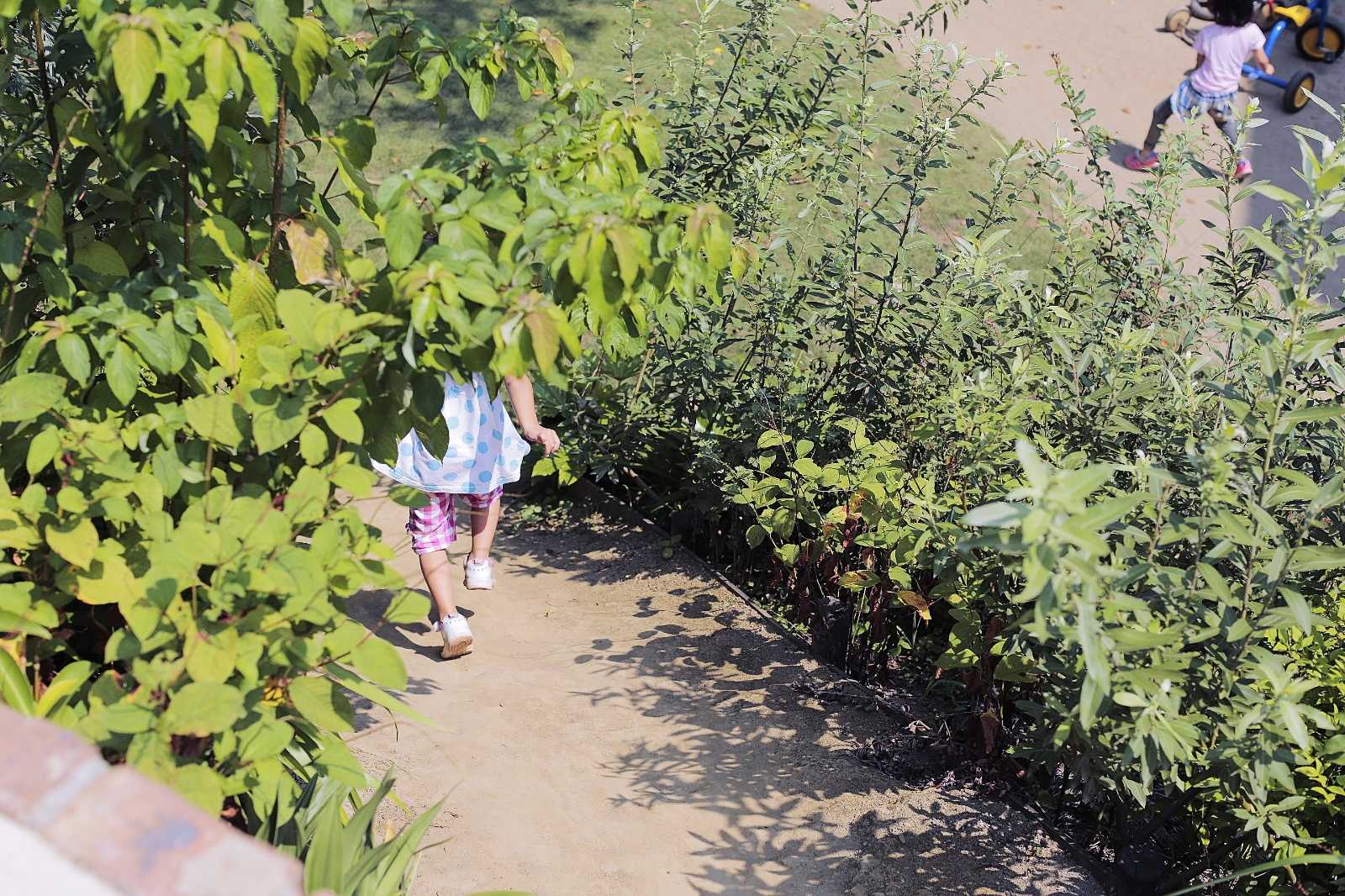 しぜんの国保育園の画像