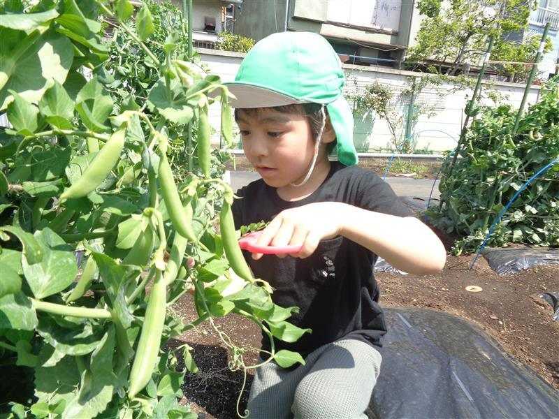 ぽけっとランド西蒲田保育園の画像