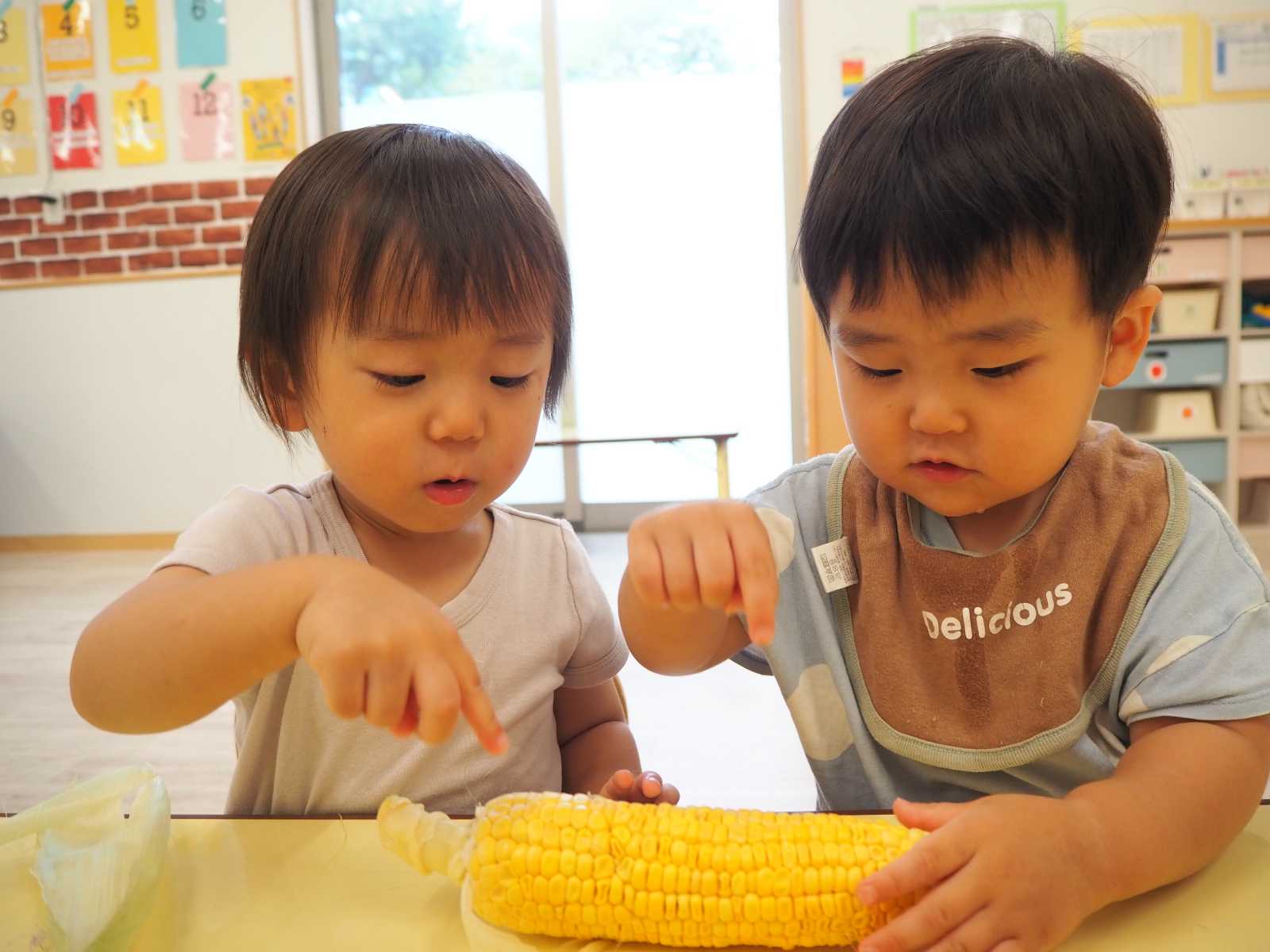 ぬくもりのおうち保育 古江台園の画像