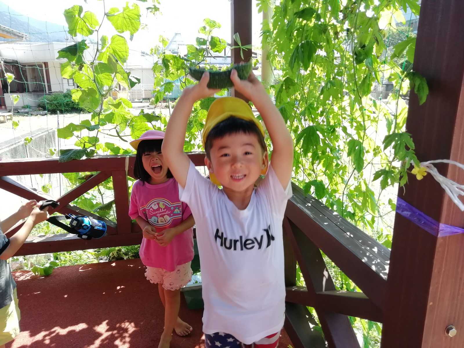 わじきこども園の画像