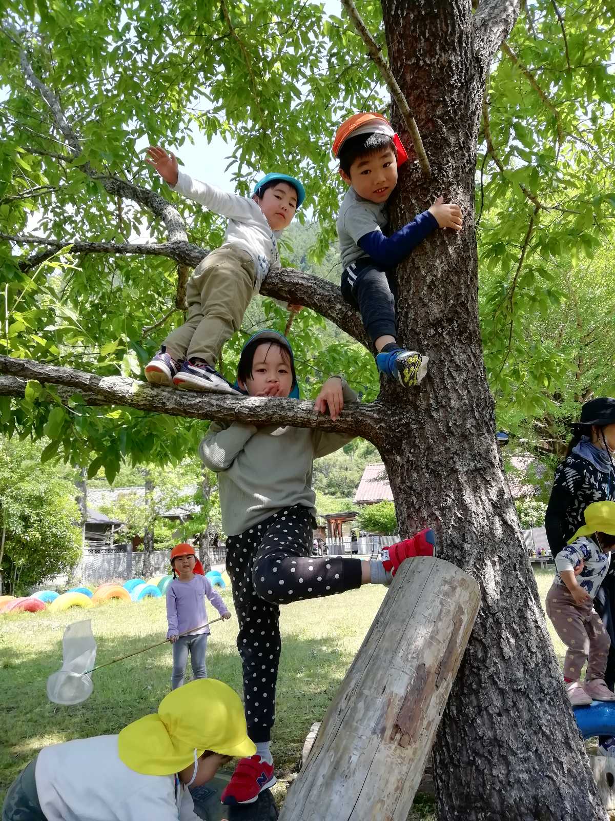 きとうこども園(本園)の画像