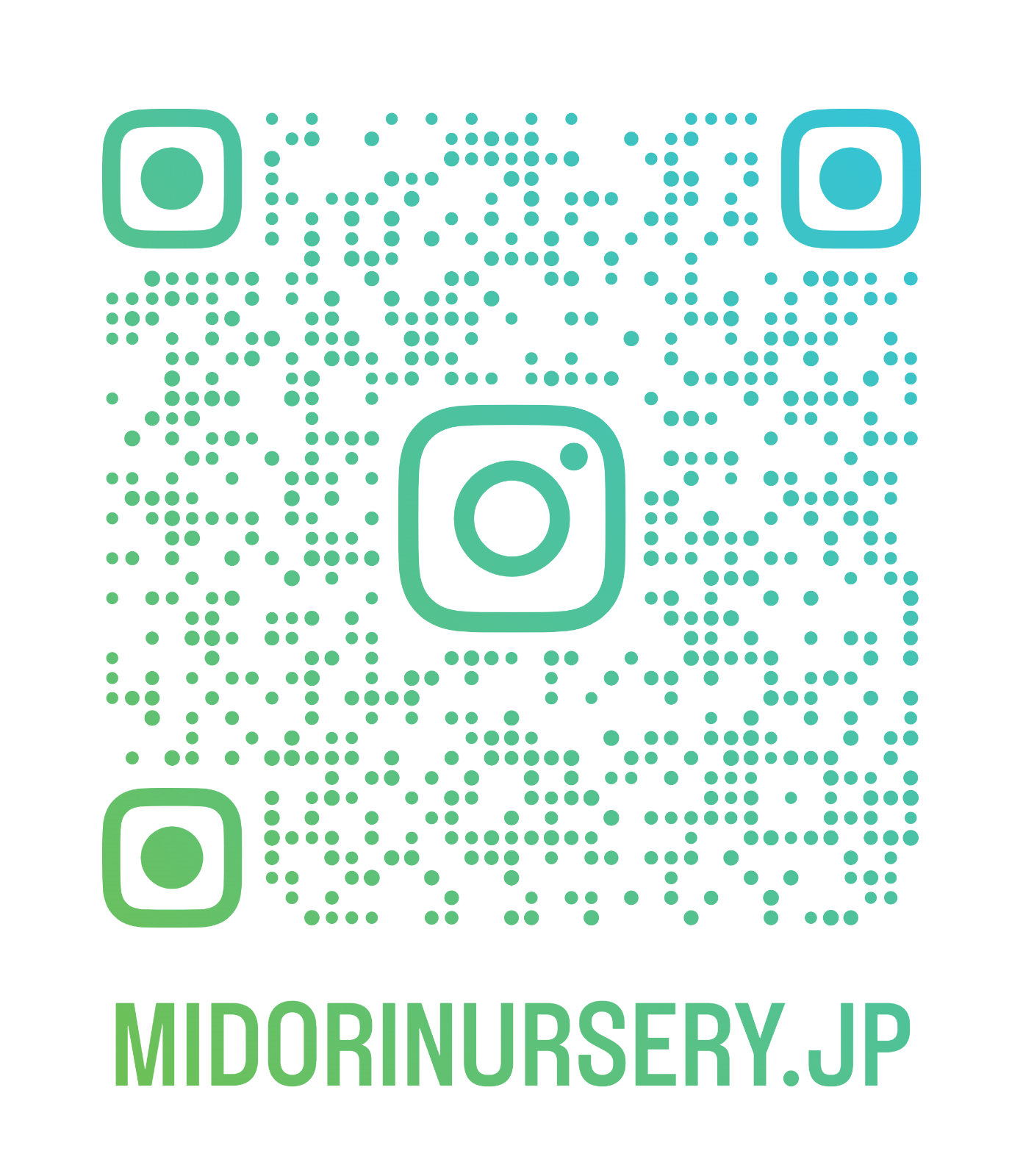 みどり保育園の画像