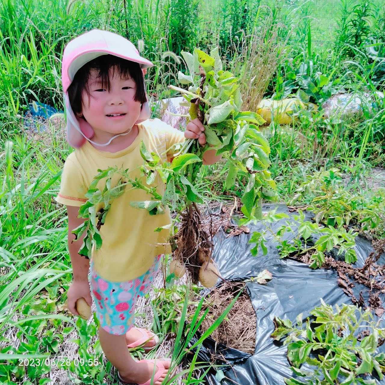 みどりの星こども園の画像