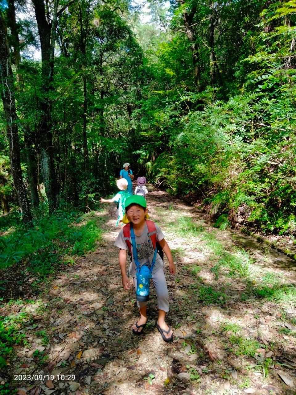 みどりの星こども園の画像