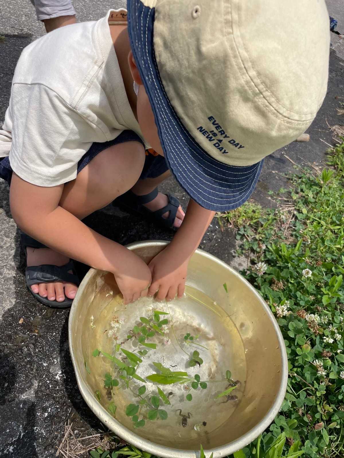 みどりの星こども園の画像