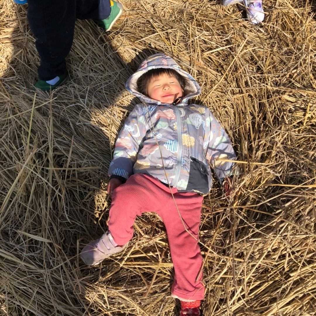 みどりの星こども園の画像