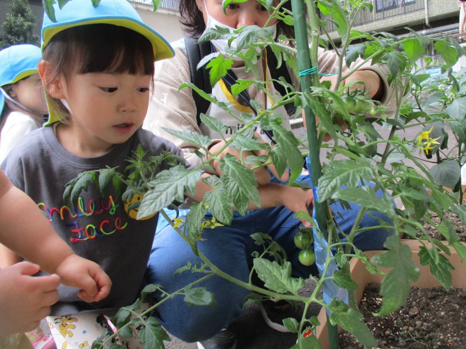 志木駅前そらいろ保育園の画像