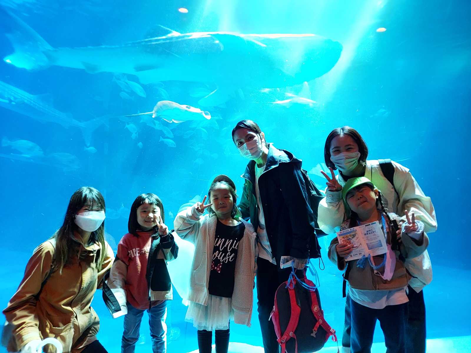 双葉こども園の画像