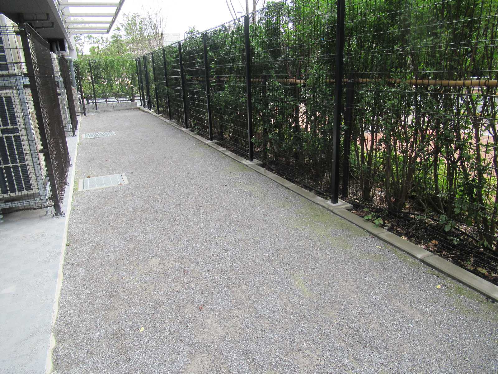 ニチイキッズ葛飾にいじゅく保育園の画像