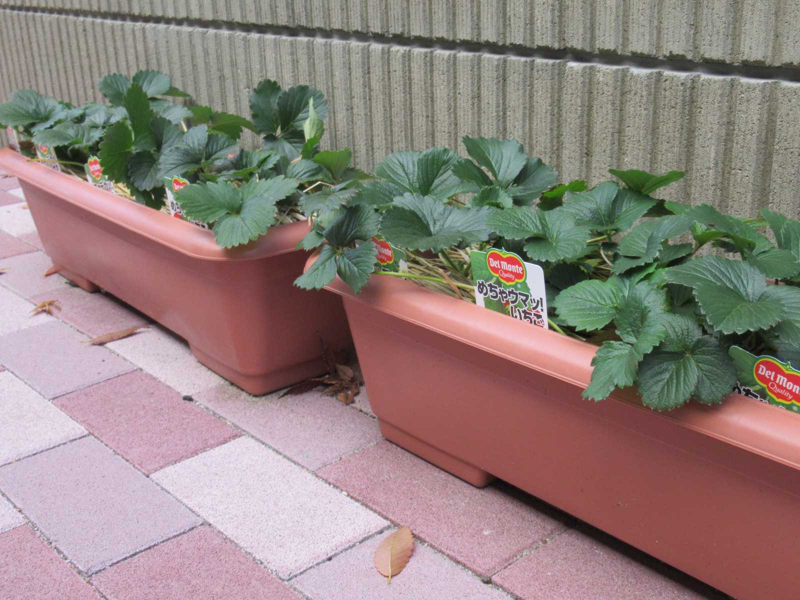 ニチイキッズ高崎こやぎ保育園の画像