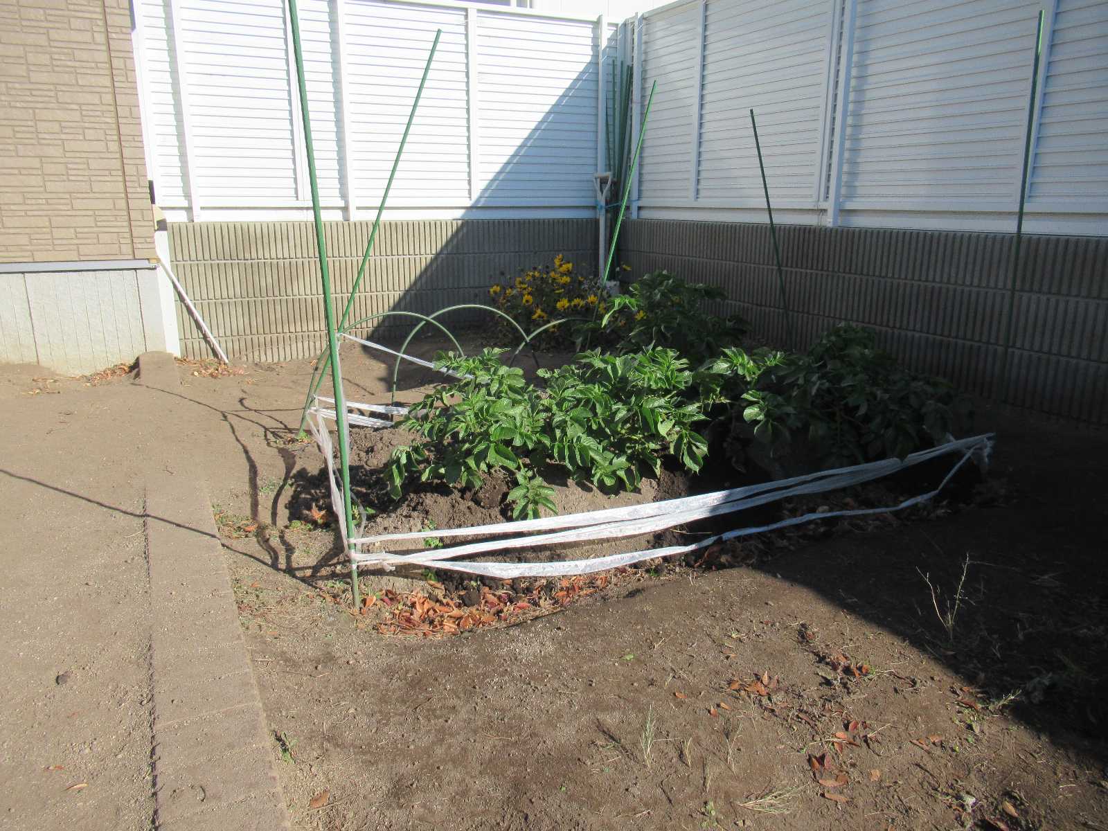 ニチイキッズ高崎こやぎ保育園の画像