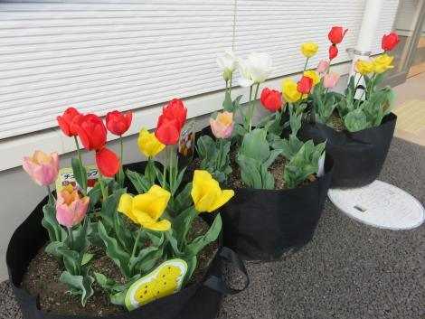 ニチイキッズ仙台あらい保育園の画像