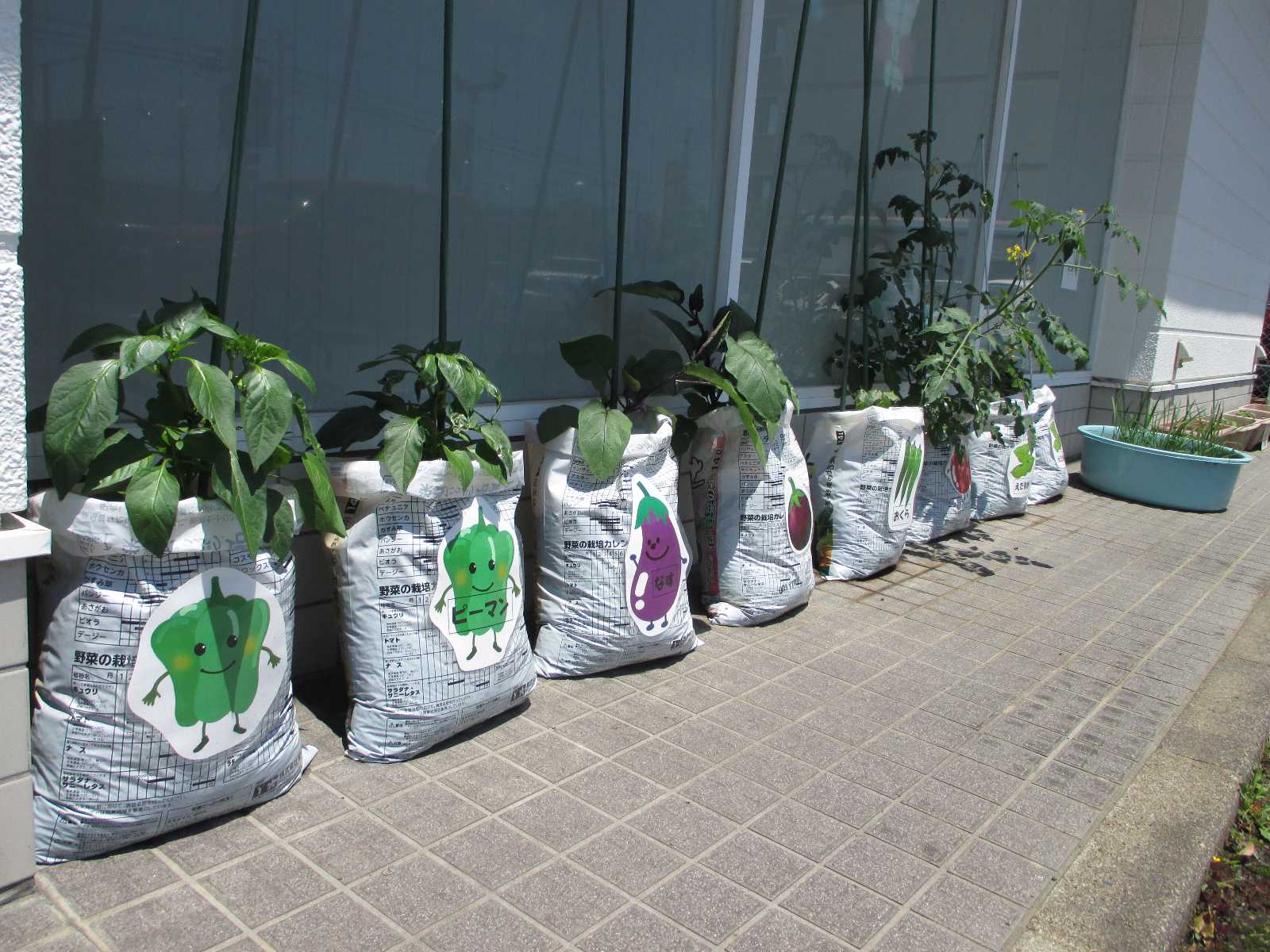 ニチイキッズ新白河保育園の画像