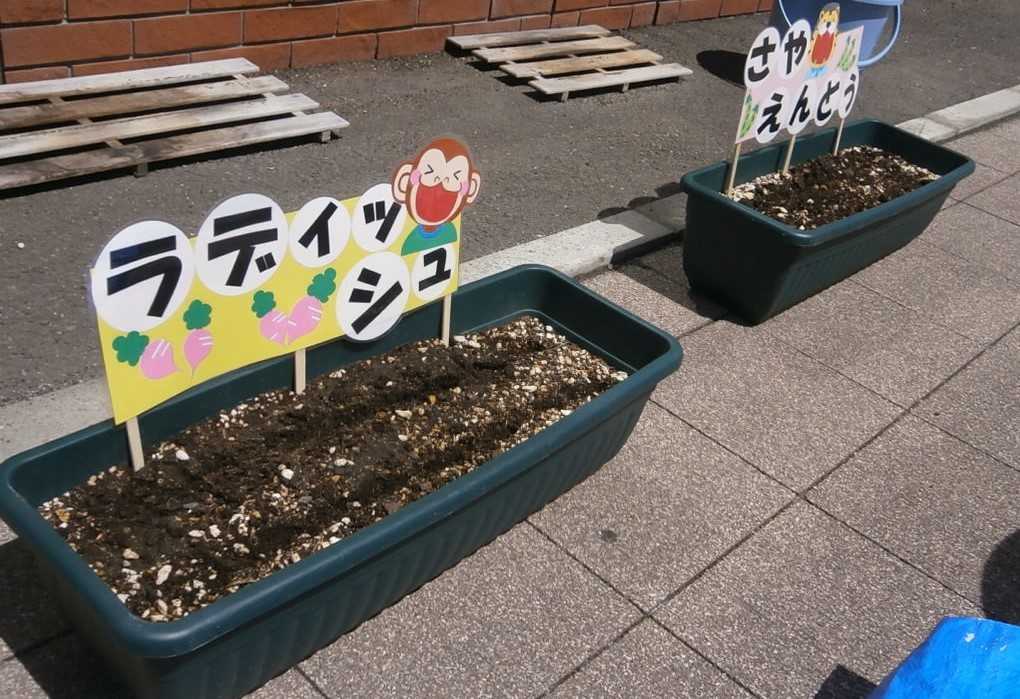 ニチイキッズのっぽろ駅前保育園の画像