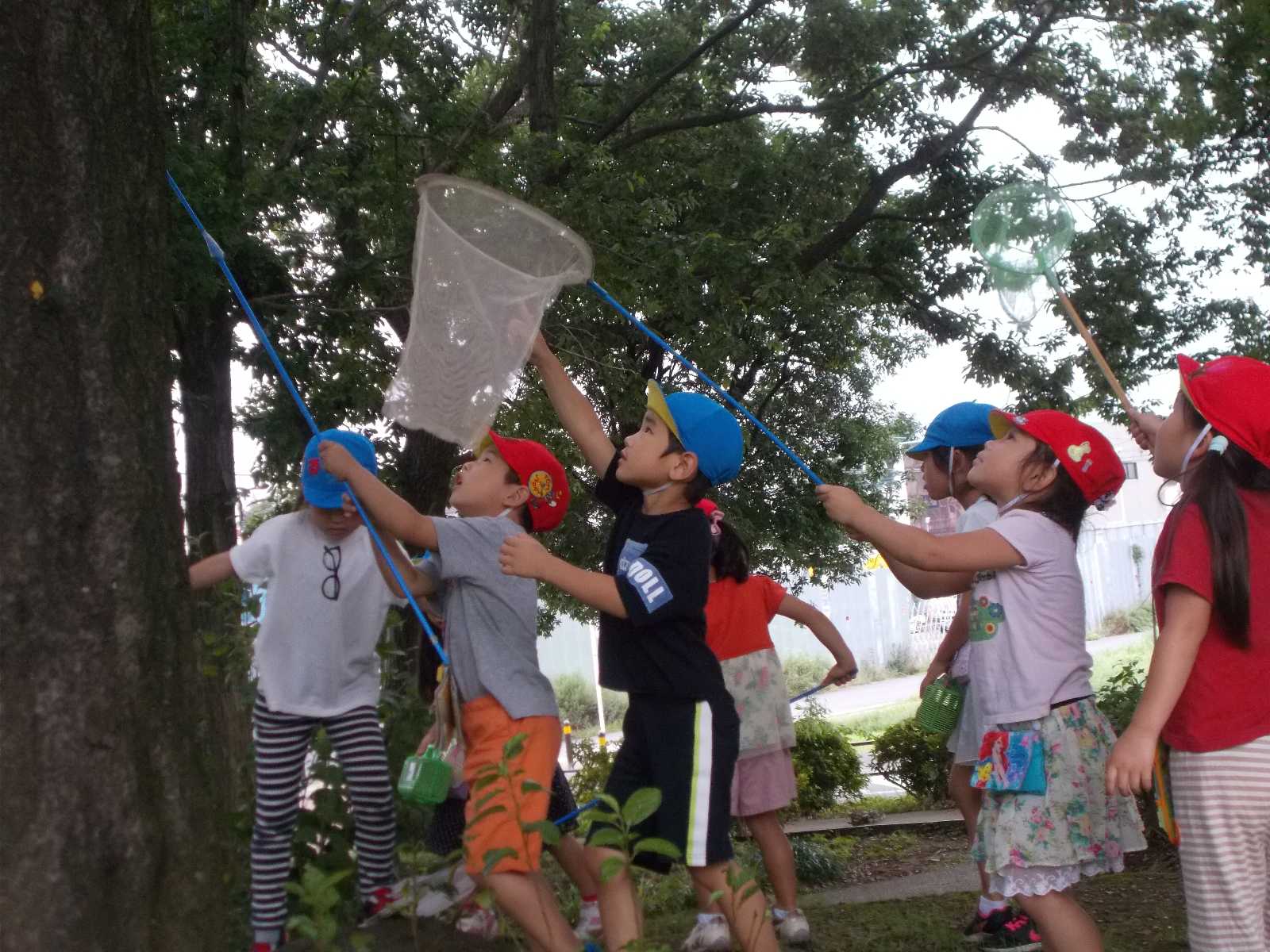 山王保育園の画像