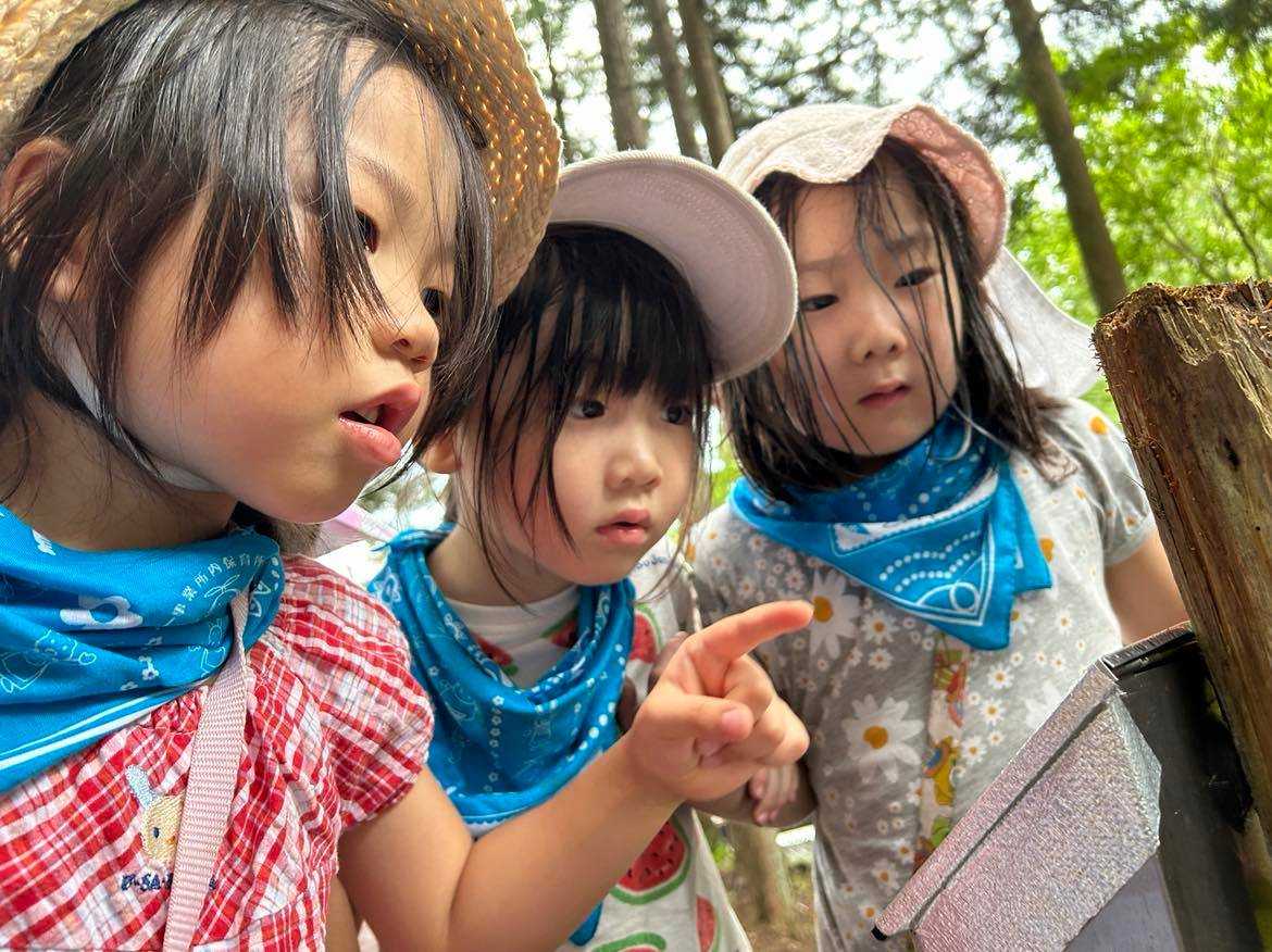 都市型保育園ポポラー東京赤羽園の画像