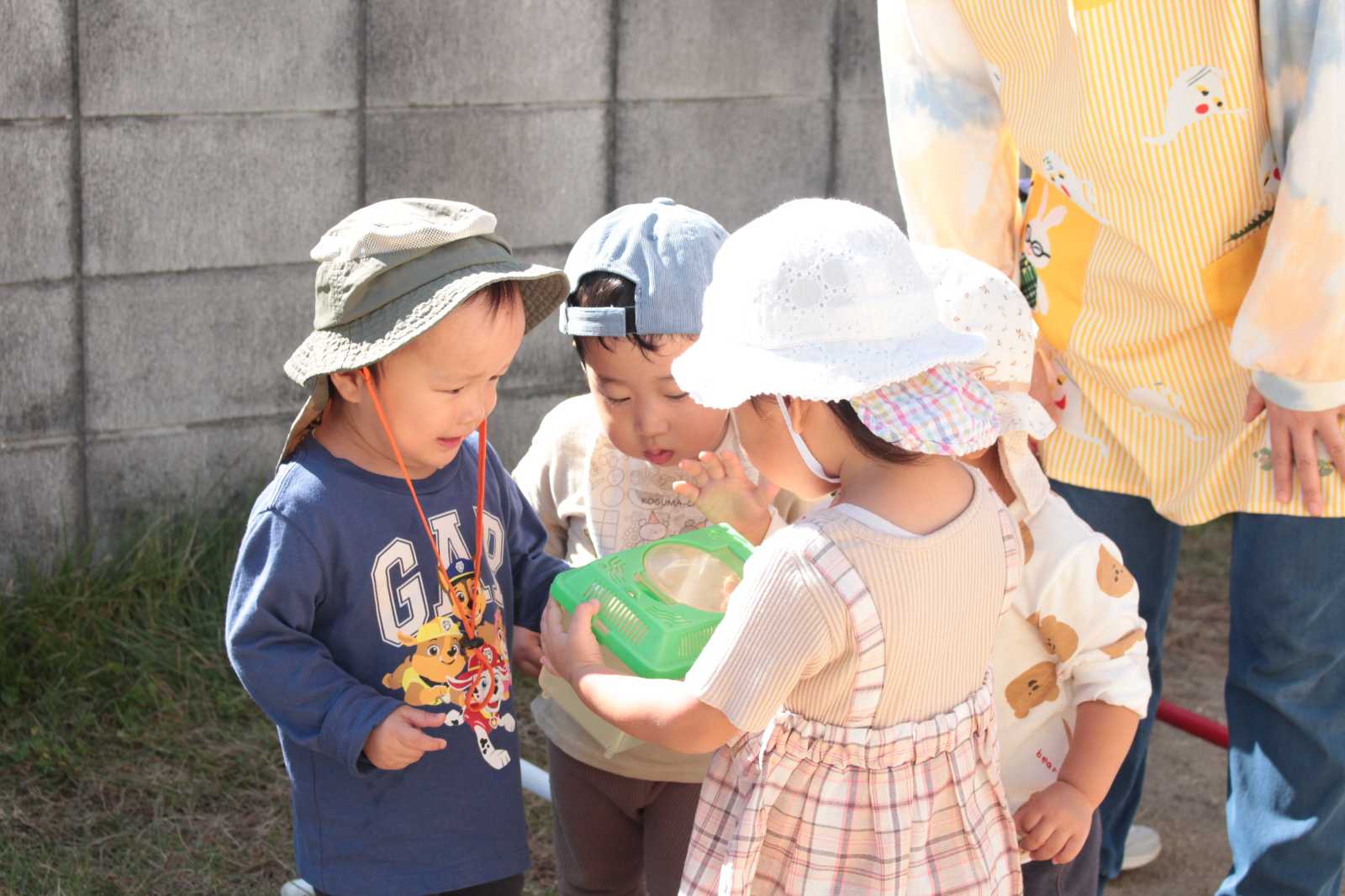 庄なかよし小規模保育園の画像