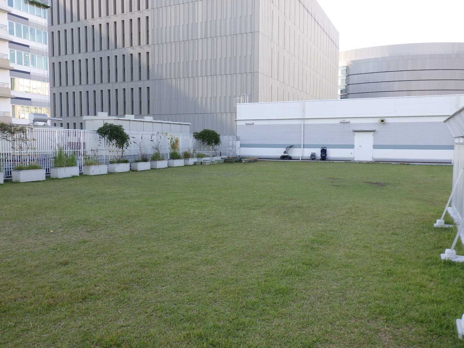 小学館アカデミーしんとよす保育園の画像