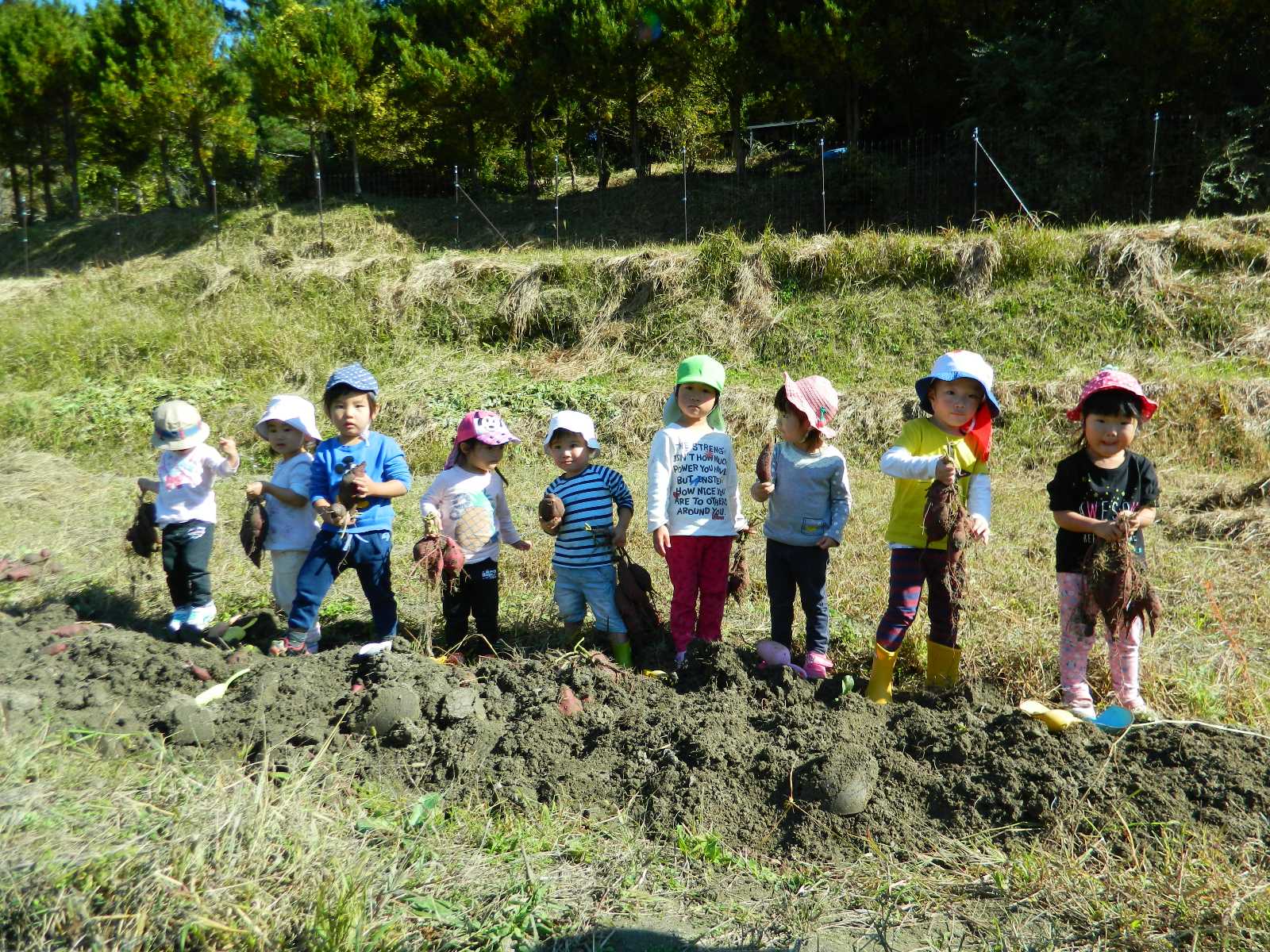 天宗清見台園の画像