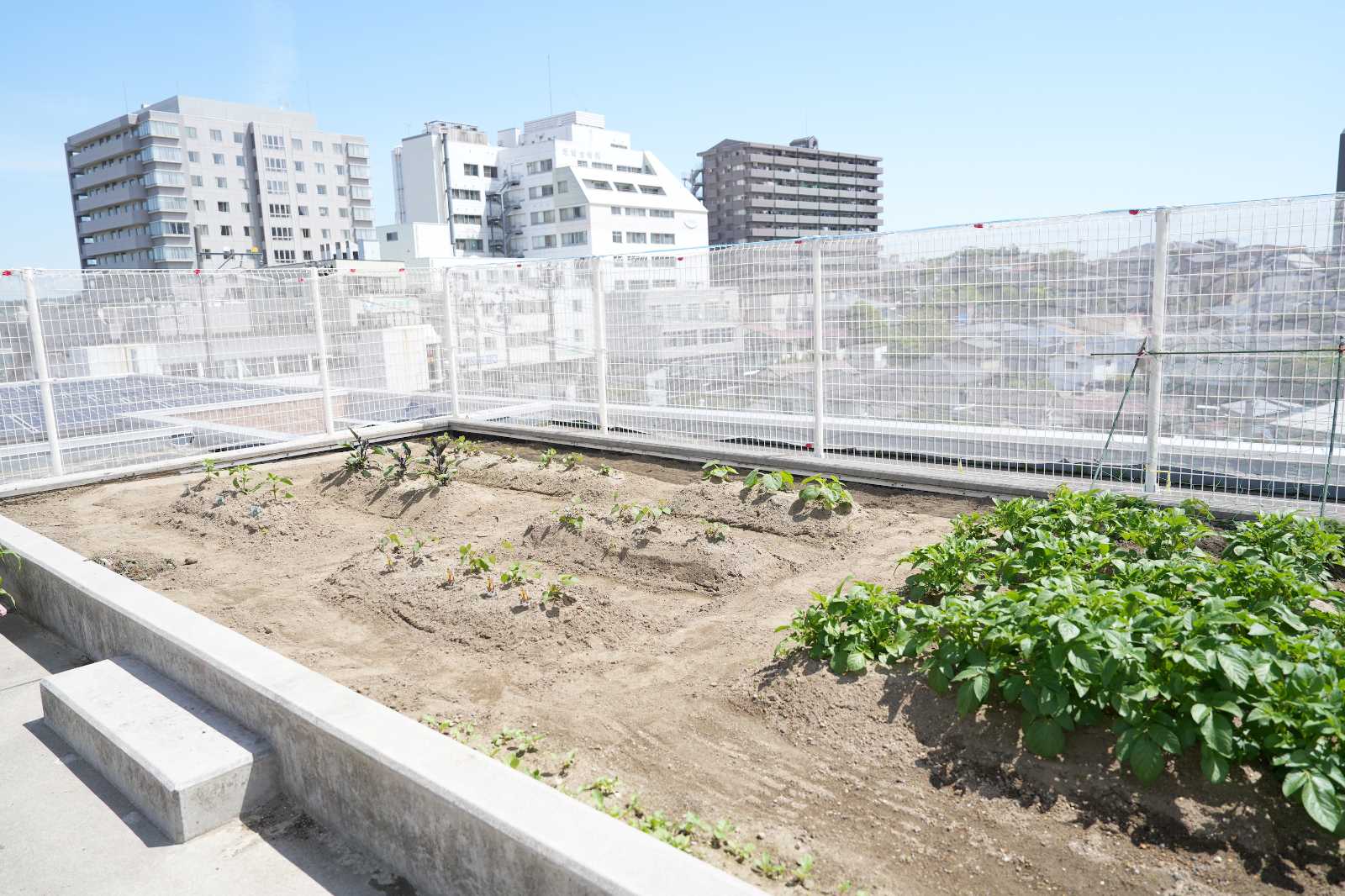 下馬みどり保育園の画像