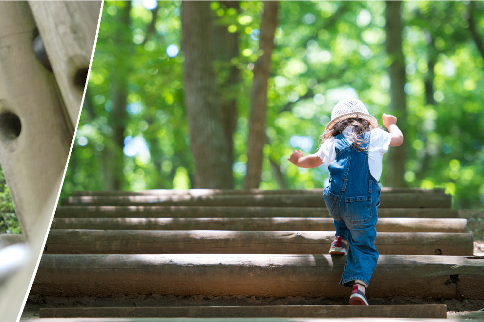 森の保育園の画像